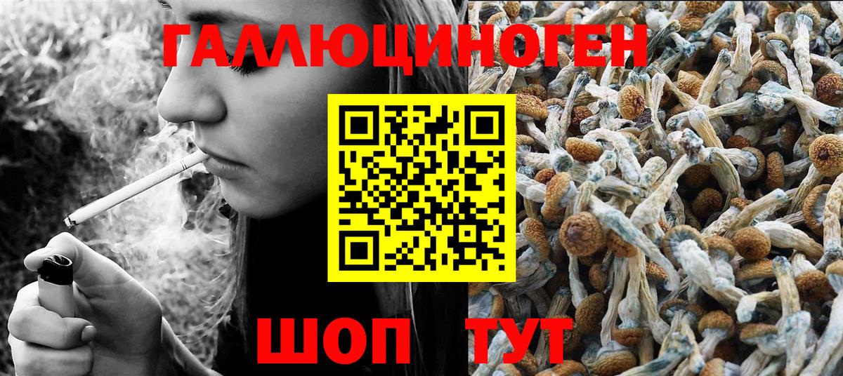 Псилоцибиновые грибы ЛСД Кисловодск